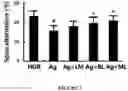 Fig. 02 - Lactic acid bacteria and use thereof