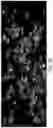 Fig. 07 - METHOD OF IMAGING IN VIVO TISSUES USING NANOPARTICLES COMPRISING A REFERENCE DYE AND A SENSOR DYE