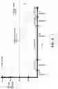 Fig. 09 - Simultaneous multi-site vagus nerve neuromodulation for improved glycemic control system and methods