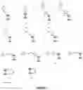 Fig. 02 - Preparation of metallocene containing cationic polymers for anion exchange applications