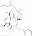 Fig. 131 - 13-oxidized ingenol derivative and use thereof