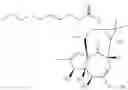 Fig. 232 - 13-oxidized ingenol derivative and use thereof