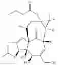 Fig. 265 - 13-oxidized ingenol derivative and use thereof