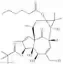 Fig. 294 - 13-oxidized ingenol derivative and use thereof