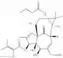 Fig. 95 - 13-oxidized ingenol derivative and use thereof
