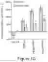 Fig. 09 - Antifungal compounds and uses thereof