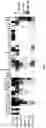 Fig. 09 - Dopamine D2 receptor ligands