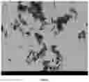 Fig. 20 - CRYSTALLINE FORMS OF A MAGL INHIBITOR