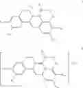 Fig. 08 - Hydrophilic berberine-type derivative and application thereof in preparing drug
