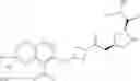 Fig. 1024 - Oxo-substituted compound