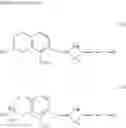 Fig. 152 - Oxo-substituted compound