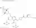 Fig. 924 - Oxo-substituted compound
