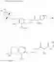 Fig. 963 - Oxo-substituted compound