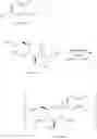 Fig. 08 - Process for the preparation of SGLT2 inhibitors and intermediates thereof