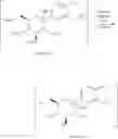 Fig. 09 - Process for the preparation of SGLT2 inhibitors and intermediates thereof