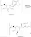 Fig. 22 - Process for the preparation of SGLT2 inhibitors and intermediates thereof