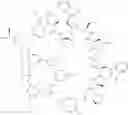 Fig. 396 - Bicyclic peptide ligands and uses thereof