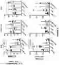 Fig. 07 - Anti-GITR antibodies and uses thereof