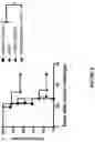 Fig. 09 - Anti-GITR antibodies and uses thereof