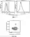 Fig. 07 - Engineered antigen presenting cells and uses thereof