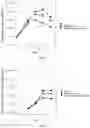 Fig. 02 - METHODS OF GENERATING ENUCLEATED ERYTHROID CELLS USING TAURINE OR HYPOTAURINE