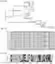 Fig. 02 - ADENO-ASSOCIATED VIRUS VARIANTS AND METHODS OF USE THEREOF
