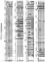 Fig. 06 - ADENO-ASSOCIATED VIRUS VARIANTS AND METHODS OF USE THEREOF