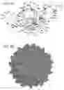Fig. 09 - ADENO-ASSOCIATED VIRUS VARIANTS AND METHODS OF USE THEREOF