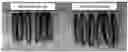 Fig. 01 - CUCUMBER PLANTS WITH IMPROVED PEST RESISTANCE