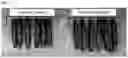 Fig. 02 - CUCUMBER PLANTS WITH IMPROVED PEST RESISTANCE