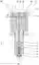 Fig. 02 - Fuel injector for on-demand multi-fuel injection