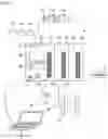 Fig. 02 - Safety controller