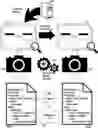 Fig. 01 - Post hoc image and volume review of short-lived Linux containers