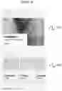 Fig. 17 - System and Method for Autonomously Generating a Mood-Filtered Slideshow