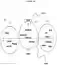 Fig. 22 - System and Method for Autonomously Generating a Mood-Filtered Slideshow