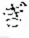 Fig. 197 - DISPLAY APPARATUS, DISPLAY METHOD, AND MEDIUM