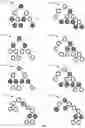 Fig. 07 - Analytic insights for hierarchies