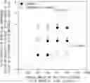Fig. 01 - Positive electrode and secondary battery including same