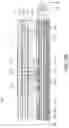 Fig. 06 - Chip antenna module
