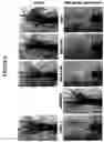 Fig. 05 - METHOD FOR TREATING POST-EMERGENT RICE