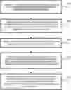 Fig. 01 - Systems and methods for performing intraoperative guidance