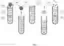 Fig. 08 - MODIFIED-RELEASE BUCILLAMINE COMPOSITIONS, KITS, AND METHODS FOR TREATING CYSTINURIA, ARTHRITIS, GOUT, AND RELATED DISORDERS