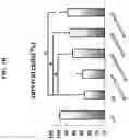 Fig. 03 - Methods and compositions for preventing or treating ophthalmic conditions
