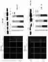 Fig. 07 - Methods and compositions for preventing or treating ophthalmic conditions