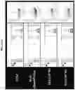 Fig. 20 - Methods and compositions for preventing or treating ophthalmic conditions