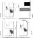 Fig. 41 - Methods and compositions for preventing or treating ophthalmic conditions
