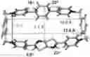 Fig. 01 - Cyclophanes for live-cell imaging