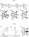 Fig. 03 - Pincer-type ligand having acridane structure and metal complex using the same