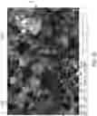 Fig. 12 - Composition and method for a microtexture hydrophobic or superhydrophobic coating