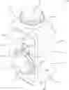 Fig. 01 - Waste disposal system and waste receiver for receiving and disposing of pharmaceutical waste material